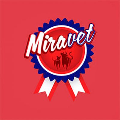 Agência de Designer e Desenvolvimento WEB Logos - Miravet